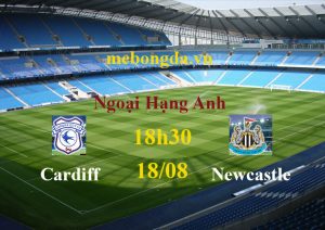 Link sopcast: Cardiff vs Newcastle, 18h30 ngày 18/8