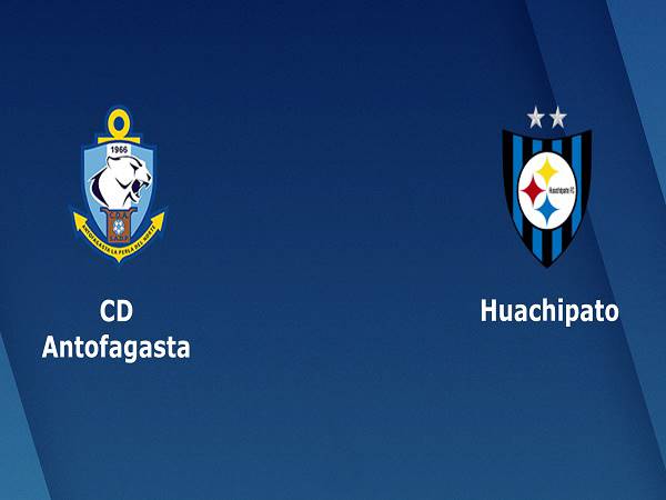 Nhận định Antofagasta vs Huachipato – 20h30 14/12, VĐQG Chile