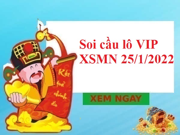 Soi cầu lô VIP XSMN 25/1/2022 thứ 3